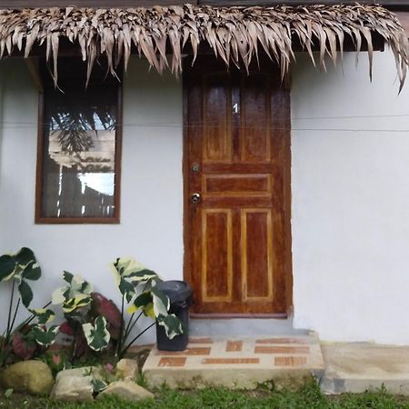 Ziah'S Guest House San Vicente  Exterior foto