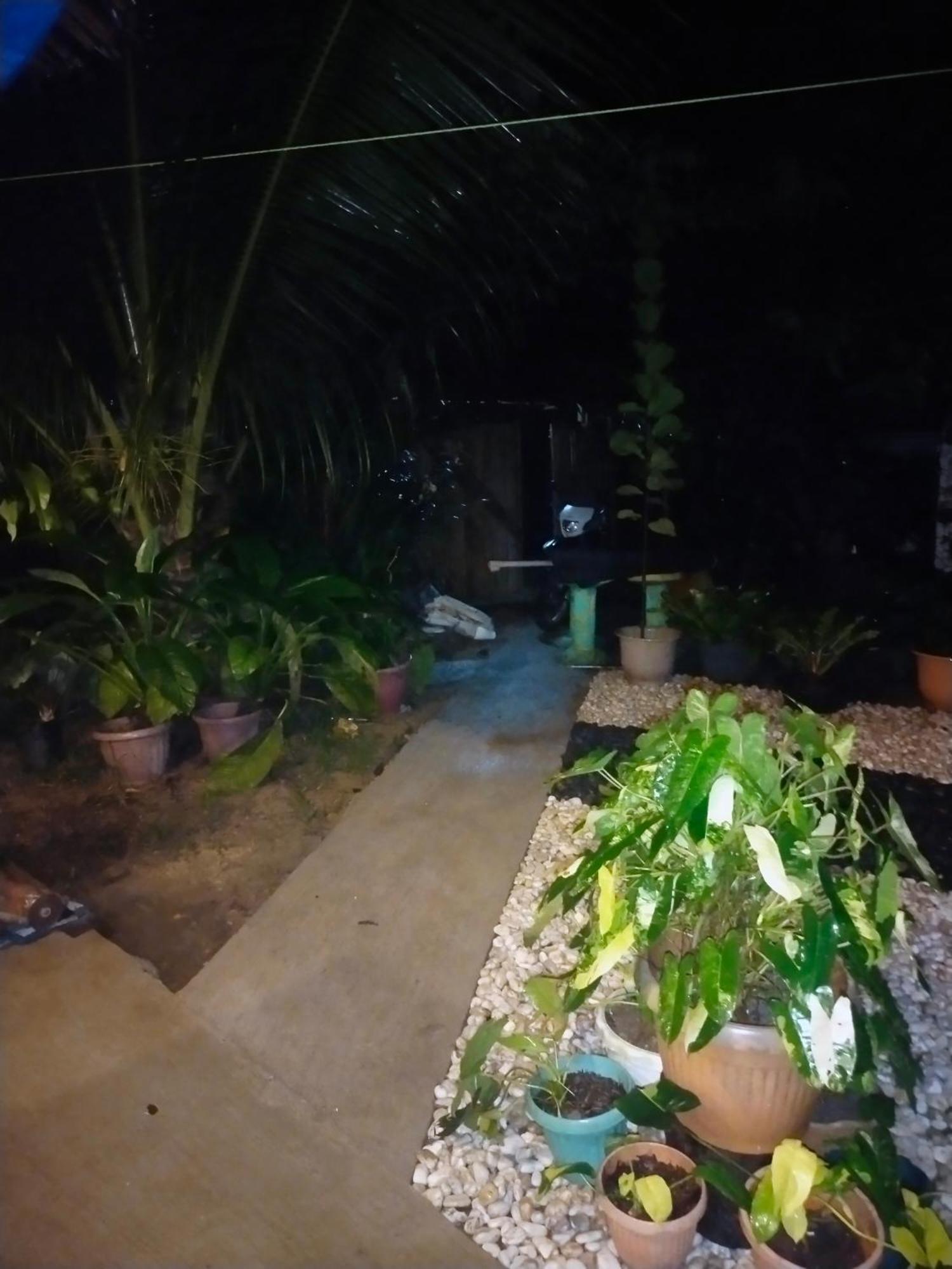 Ziah'S Guest House San Vicente  Exterior foto